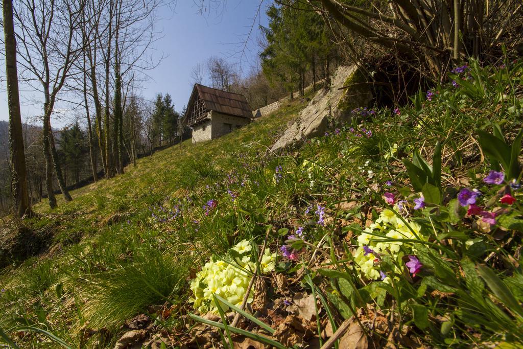 Вилла Casa Delle Noci Grimacco Номер фото